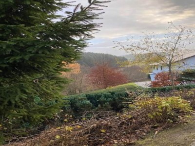 Holiday house Ferienhaus bei Willingen mit Terrasse - Outdoor photo 3