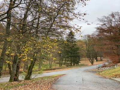 Holiday house Ferienhaus bei Willingen mit Terrasse - Features photo 16