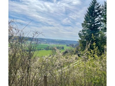 Holiday house Ferienhaus, Schöntal-Winzenhofen - Outdoor photo 6