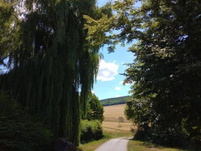 Holiday house Ferienhaus, Schöntal-Winzenhofen - Environment photo 28
