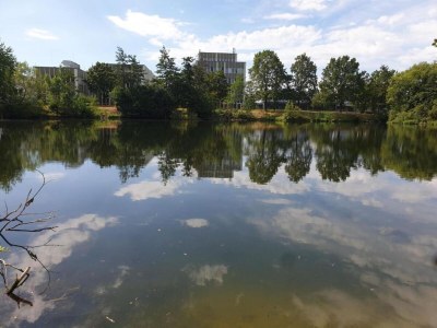 Holiday house Ferienhaus, Schöntal-Winzenhofen - Environment photo 30