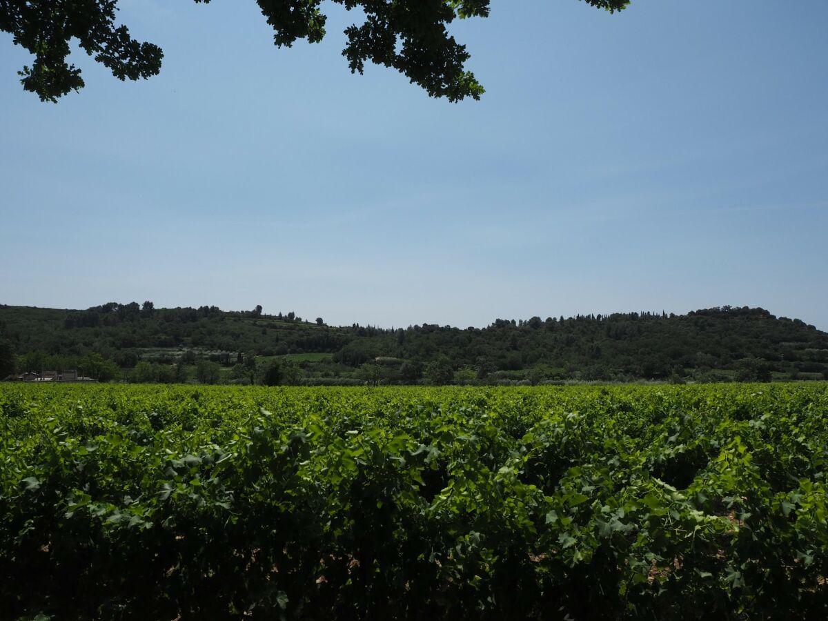 Holiday house Holiday Home near Pont du Gard & Vineyards - Outdoor photo 3