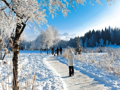 Farmhouse Bauernhof am Mieminger Plateau mit Bergblick - Environment photo 16