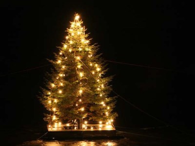 Holiday house Nordsee Huus - Environment photo 20