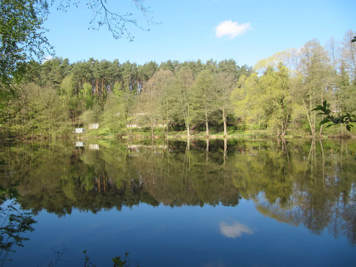 Holiday house Type 1 in the “Am Grundlossee” holiday complex - Outdoor photo 2