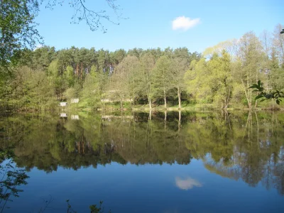 Holiday house Type 1 in the “Am Grundlossee” holiday complex - Outdoor photo 2