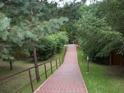 Holiday house Type 1 in the “Am Grundlossee” holiday complex - Outdoor photo 5