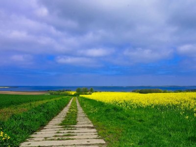 Holiday house Familienfreundlicher Aufenthalt in Alt Bukow - Environment photo 31
