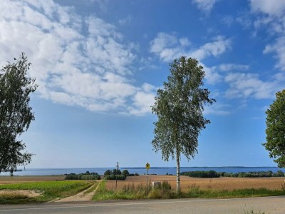 Holiday house Familienfreundlicher Aufenthalt in Alt Bukow - Environment photo 32