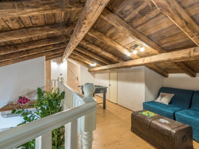 Villa Family Villa Lipica - Features photo 23