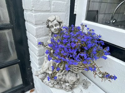 Holiday apartment La CÃ¢line - Features photo 21