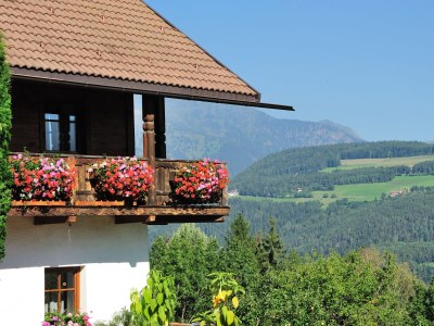 Holiday apartment Radmuellerhof - Outdoor photo 3