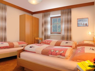 Holiday apartment Radmuellerhof - Features photo 5