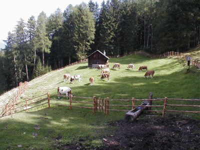 Holiday apartment Radmuellerhof - Environment photo 13