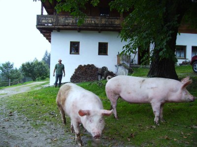 Holiday apartment Radmuellerhof - Environment photo 16