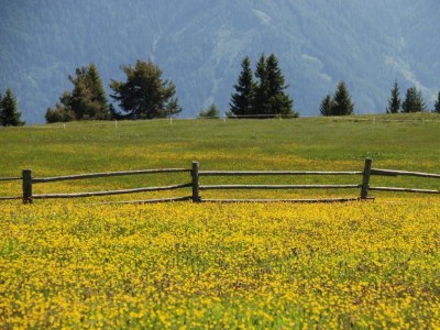 Holiday apartment Radmuellerhof - Environment photo 19