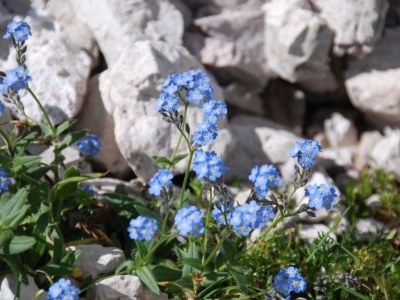 Holiday apartment Radmuellerhof - Environment photo 20