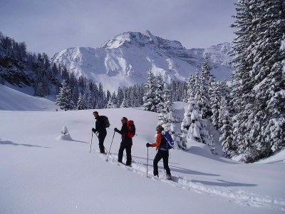 Holiday apartment Appartement Kumming - Environment photo 21