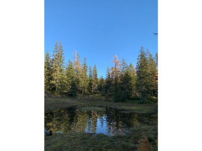 Holiday apartment Appartement Kumming - Environment photo 22