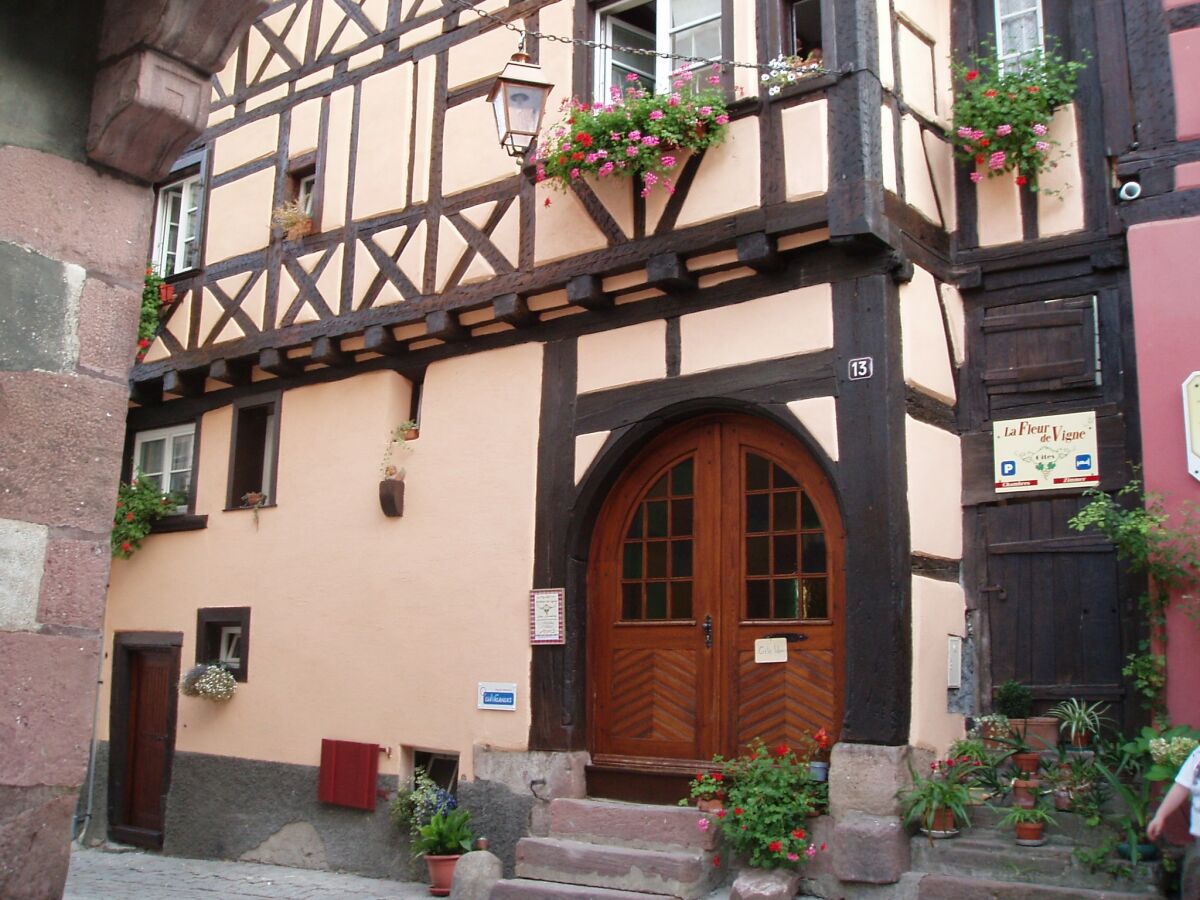 Apartment Apartment in Riquewihr near Vineyards - Outdoor photo 5
