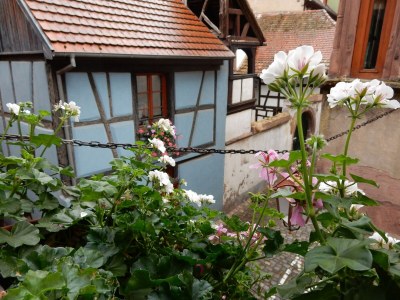 Apartment Apartment in Riquewihr near Vineyards - Outdoor photo 7