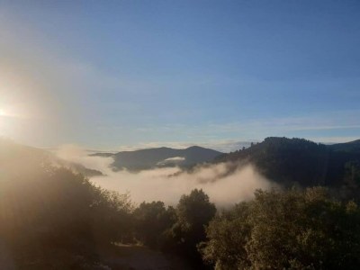 Apartment Apartment in Riquewihr near Vineyards - Environment photo 22