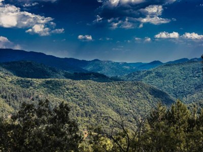 Apartment Apartment in Riquewihr near Vineyards - Environment photo 23