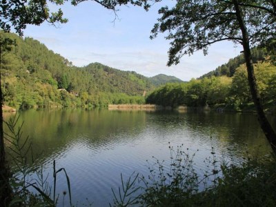 Apartment Apartment in Riquewihr near Vineyards - Environment photo 25