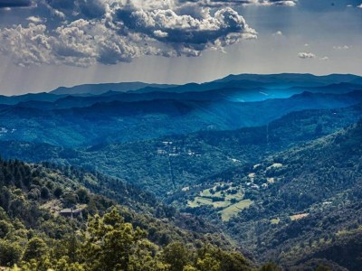 Apartment Apartment in Riquewihr near Vineyards - Environment photo 28