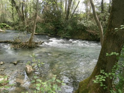 Apartment Apartment in Riquewihr near Vineyards - Environment photo 34