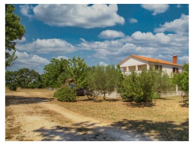 Apartment Casa Cerin with Private Pool - Outdoor photo 7