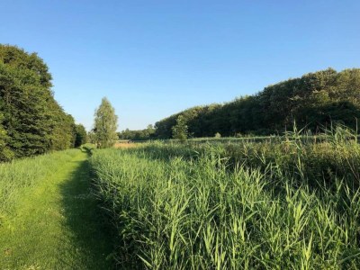 Holiday park Water Lodge in Netherlands with Terrace Access - Environment photo 14