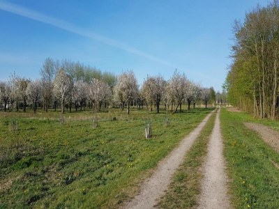 Holiday park Water Lodge in Netherlands with Terrace Access - Environment photo 16