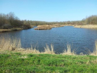 Holiday park Water Lodge in Netherlands with Terrace Access - Environment photo 19