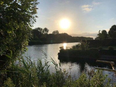 Holiday park Water Lodge in Netherlands with Terrace Access - Environment photo 21