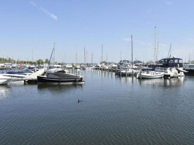 Holiday park Water Lodge in Netherlands with Terrace Access - Environment photo 22