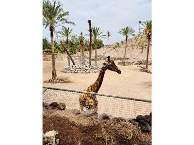 Holiday house Casa Mar Azul - Environment photo 33