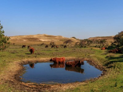 Villa Family Villa - Environment photo 18