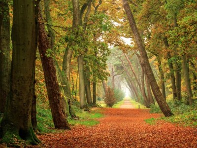 Villa Family Villa - Environment photo 20