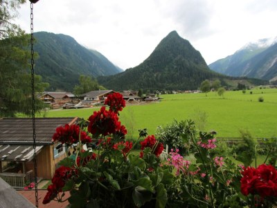 Apartment Apartment Neukirchen near Ski Slopes - Outdoor photo 12