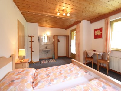 Apartment Apartment Neukirchen near Ski Slopes - Features photo 20