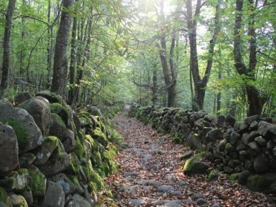 Apartment Wohnung in Casola nahe Torre di Casola - Environment photo 33