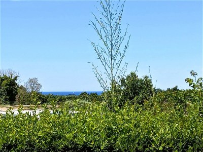 Holiday house Casa B - Outdoor photo 14