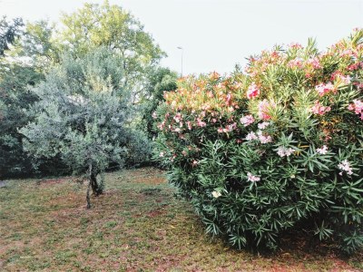 Holiday house Casa B - Outdoor photo 16