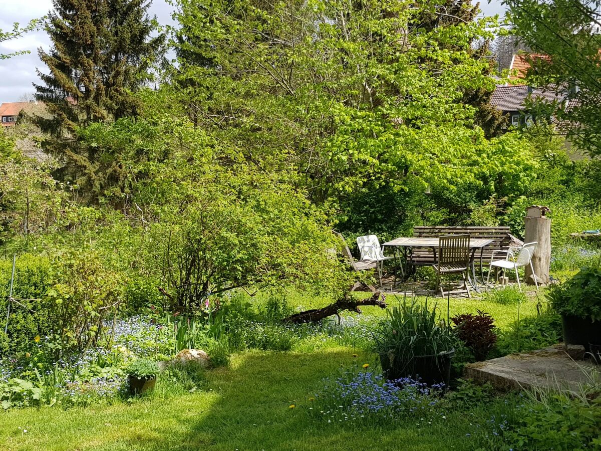 Holiday apartment Trollblume - Outdoor photo 3