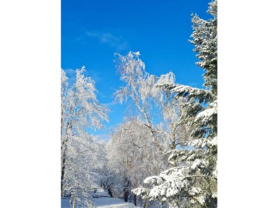 Holiday apartment Trollblume - Environment photo 13