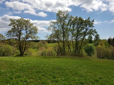 Holiday apartment Trollblume - Environment photo 14