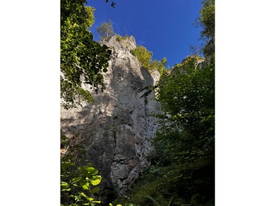 Holiday apartment Trollblume - Environment photo 15