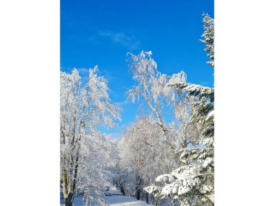 Holiday apartment No title - Environment photo 14