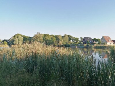 Holiday house Villa 43 - Environment photo 28